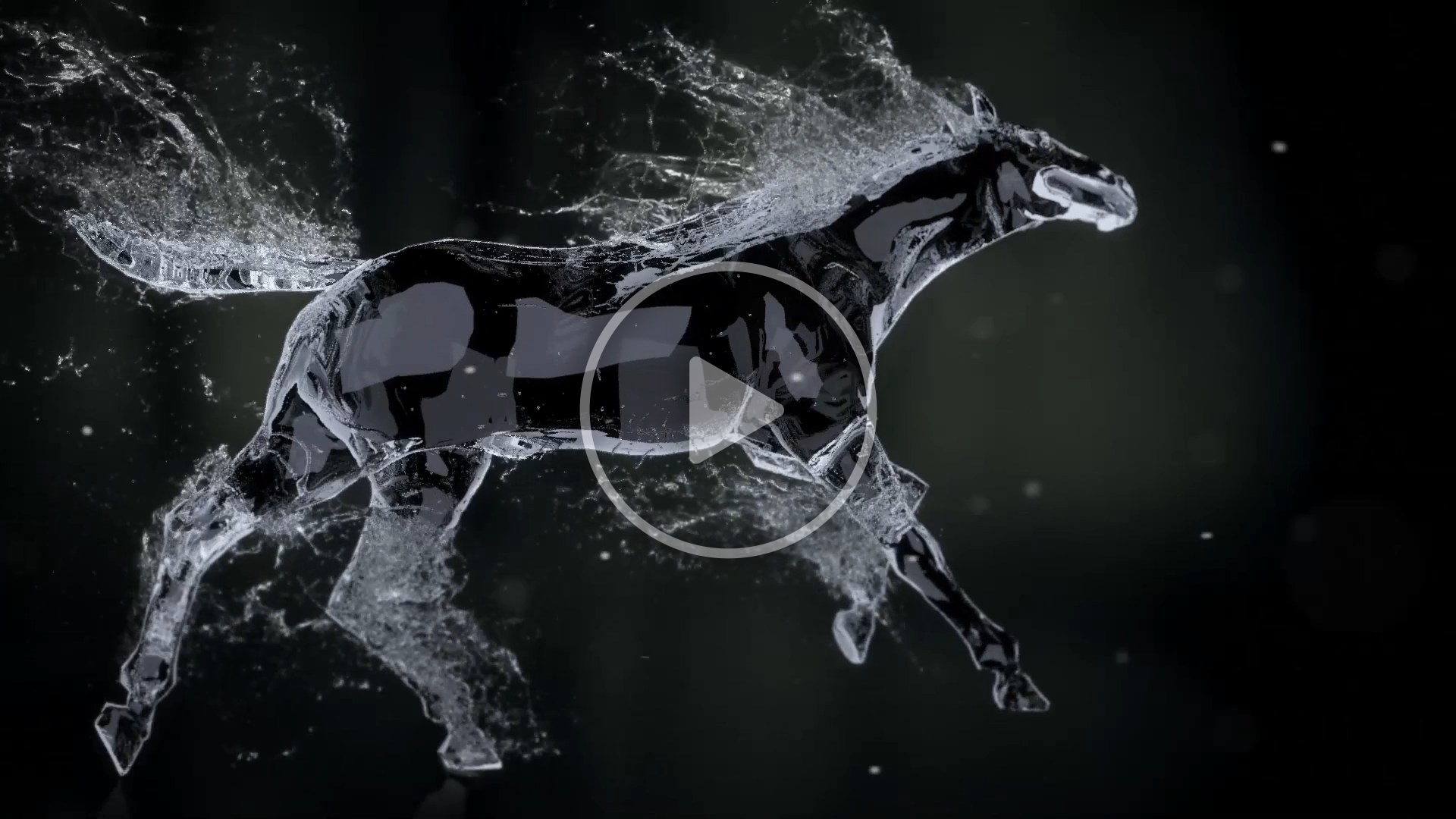 Splashing Horse Logo Reveal - DM 0025
