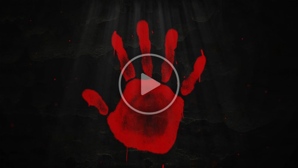 Murder Mistry Logo Reveal