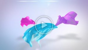 Flying Fabric Logo Reveal
