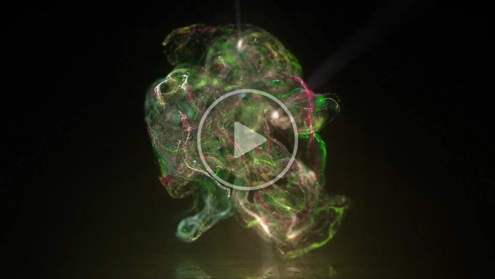 Neon Fluid Logo Reveal