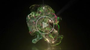 Neon Fluid Logo Reveal