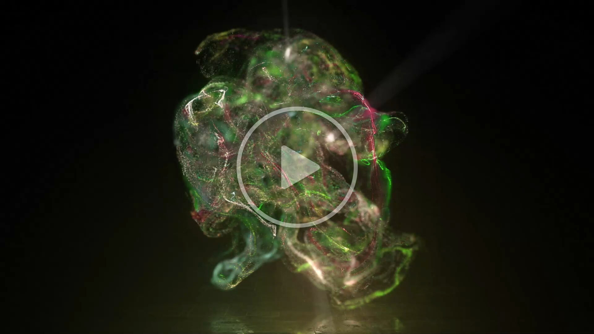 Neon Fluid Logo Reveal