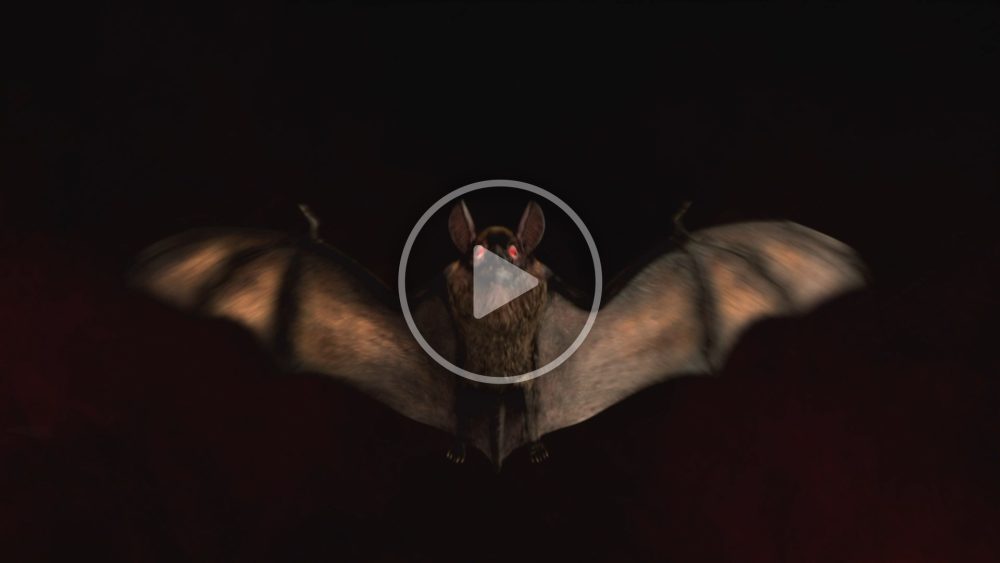 Halloween Bat Logo